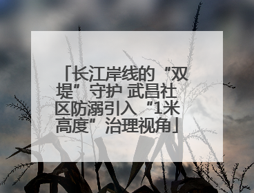 长江岸线的“双堤”守护 武昌社区防溺引入“1米高度”治理视角